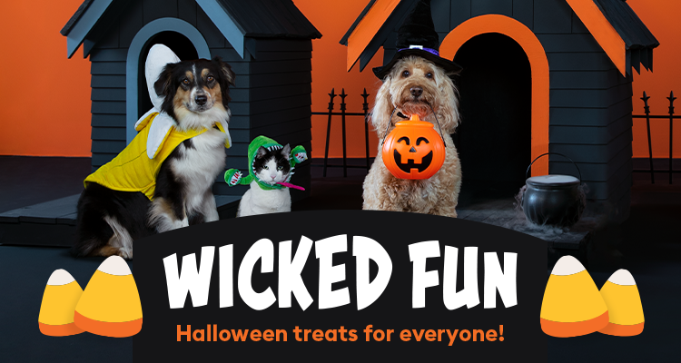 Celebrate Halloween With Your Pet Petsmart
