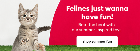 Felines just wanna have fun!
		  Beat the heat with our summer-inspired toys