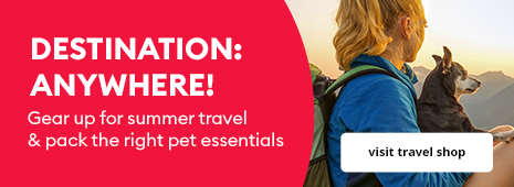 DESTINATION: ANYWHERE! Gear up for summer travel & pack the right pet essentials
