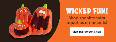 Shop spooktacular aquatics ornaments!