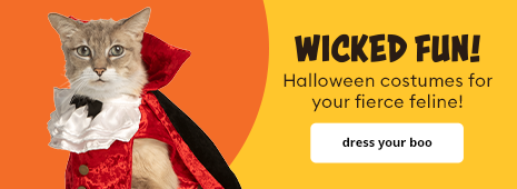 Wicked Fun Halloween costumes for your fierce feline!