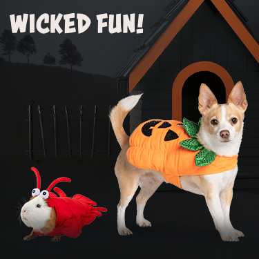 Wicked Fun Halloween costumes