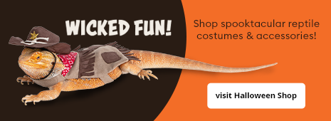 Shop spooktacular reptile costumes & accessories!