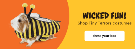 Shop Tiny Terrors costumes