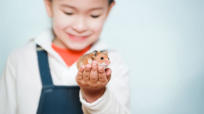 Teaching Children to Care for Small Pets