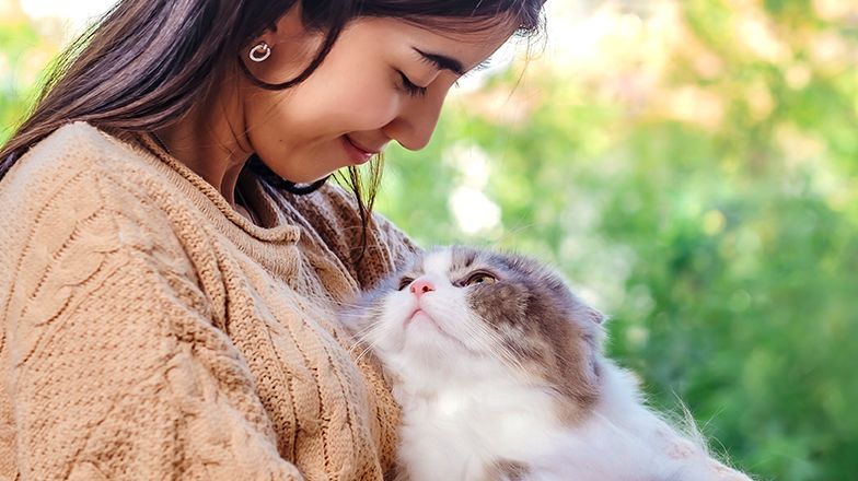 So You Want a Cat? 12 Best Pieces of Cat Advice