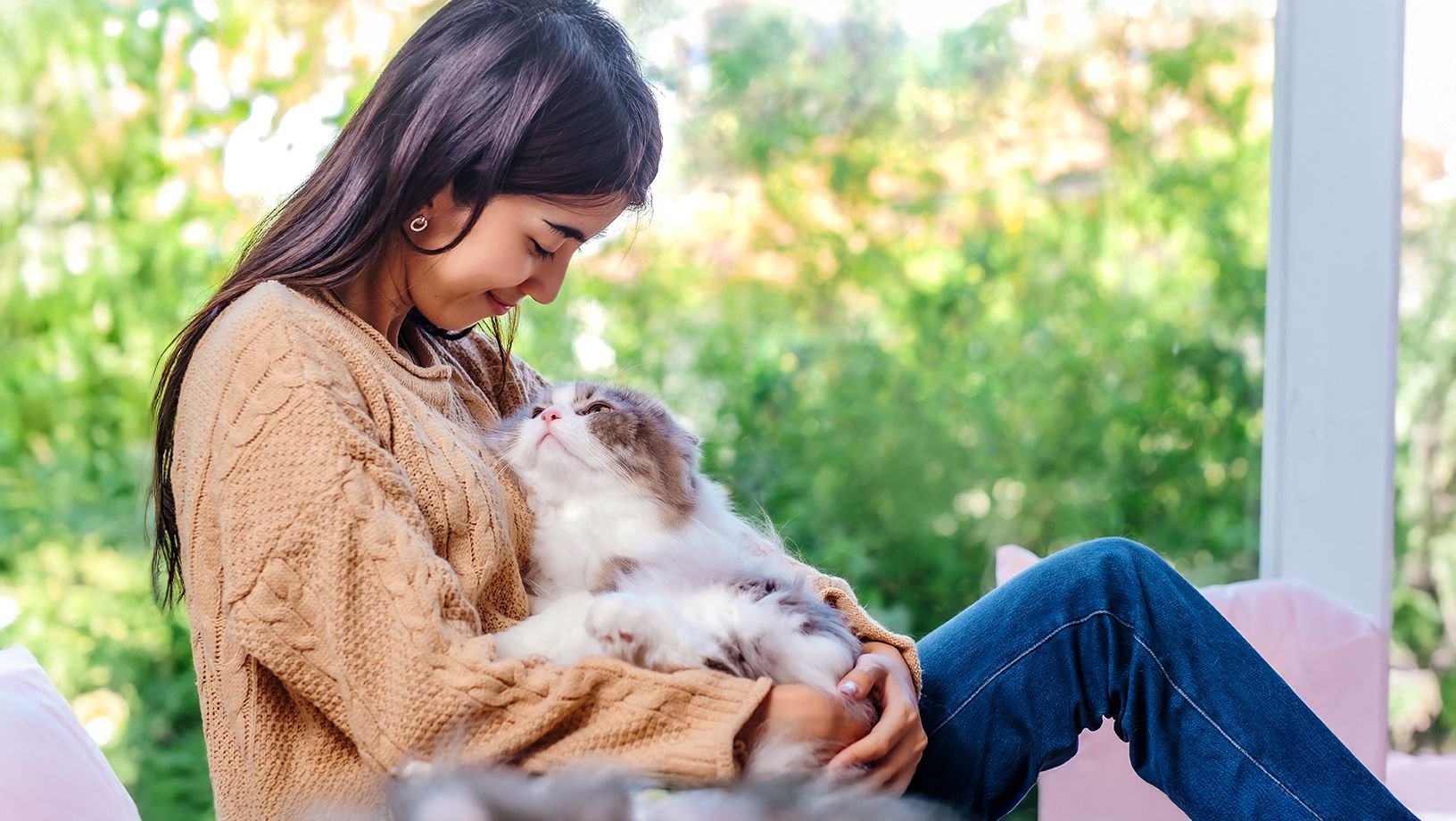 Article Hero Image Cat Advice