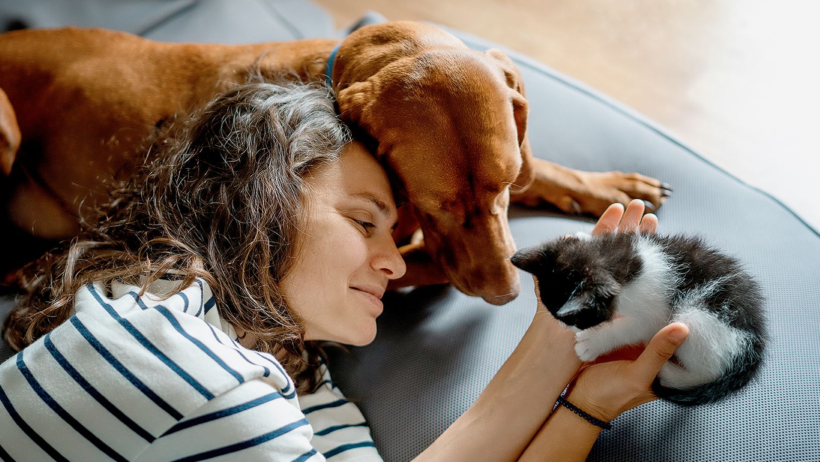 Name Your Pets
