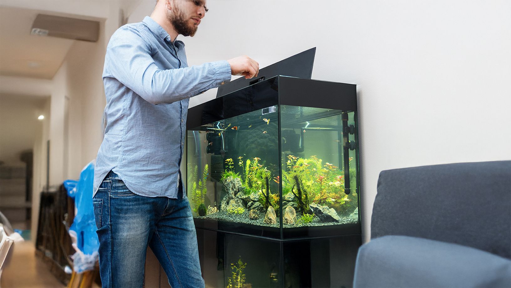 Article Hero Image Saltwater Tank