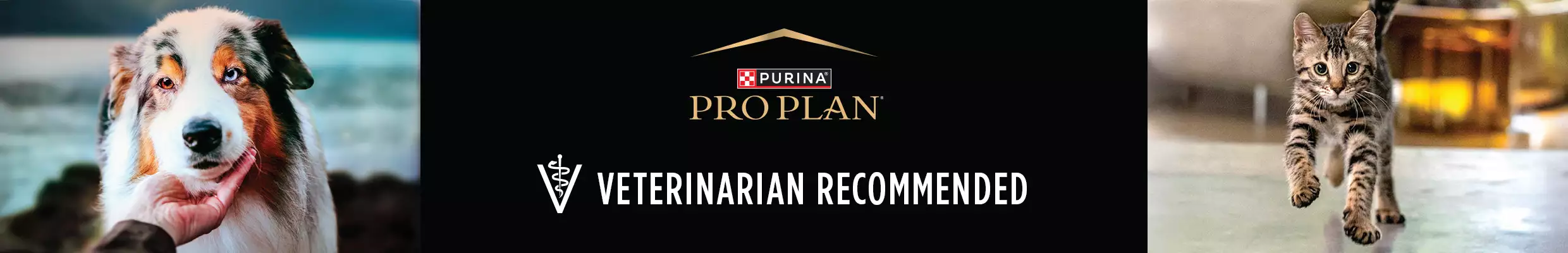 Purina pro plan logo with text 'veterinarian recommended' with a picture of a dog and cat