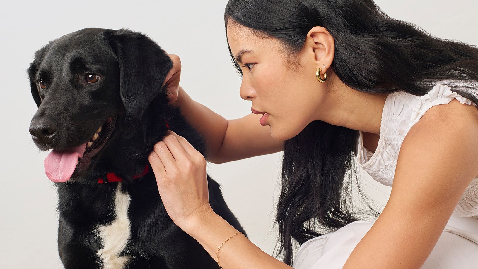 Flea and Tick Image Article Hero Image