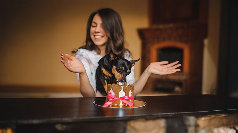 Dog Treats Image