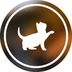 Puppy 0 - 1 year