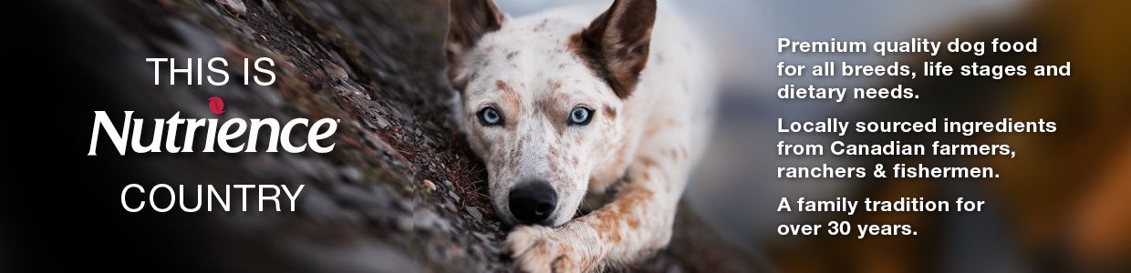 Nutrience Dog and Cat Food | PetSmart Canada