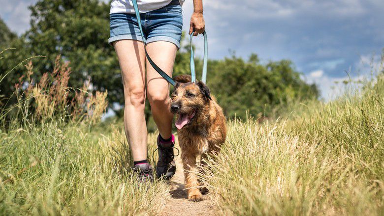Woman walking a dog on a leash through a grassy outdoor trail path.