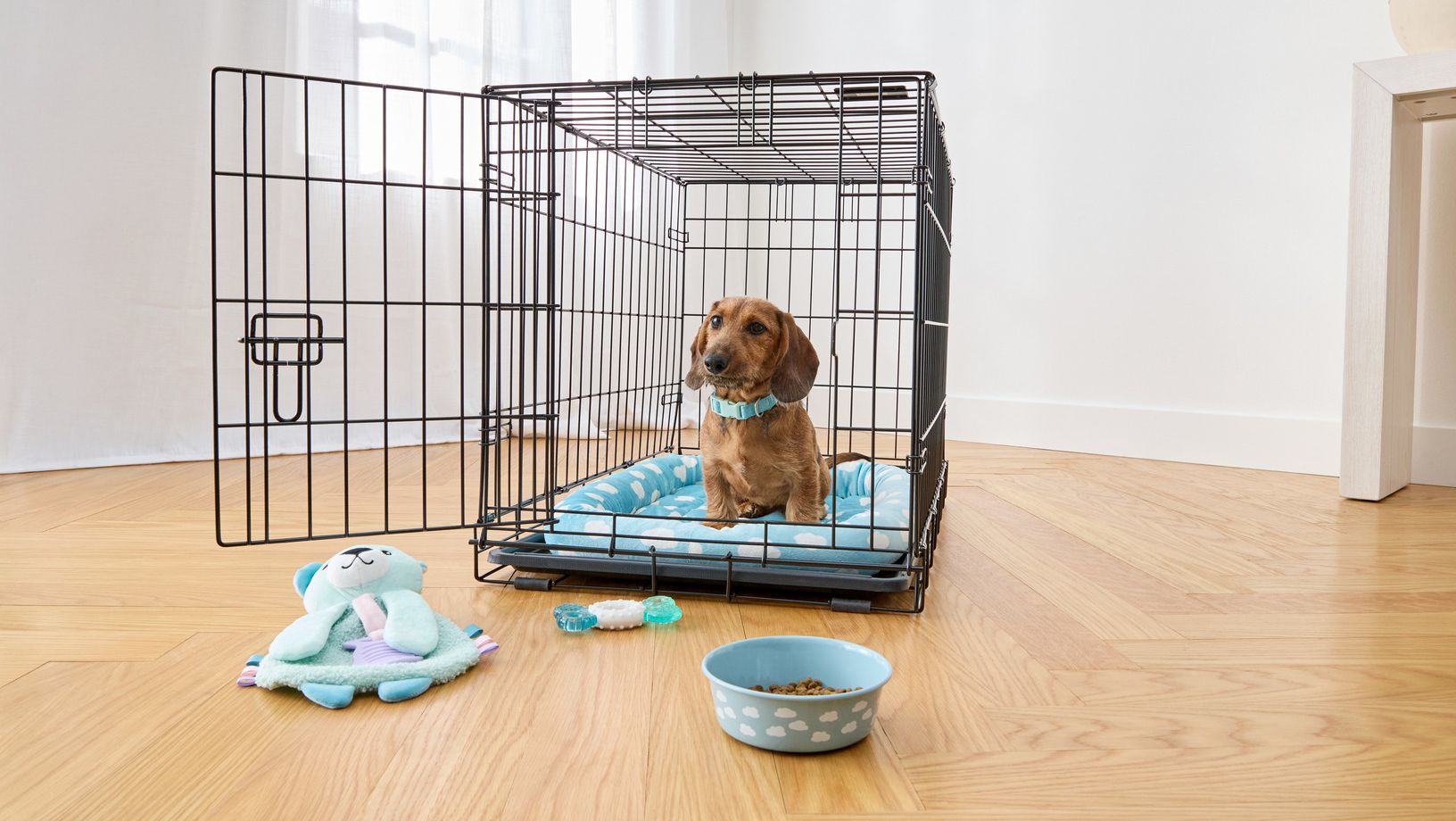 Puppy sitting in a dog crate with food and toys nearby