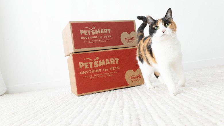Cat walking past PetSmart Treats Rewards boxes