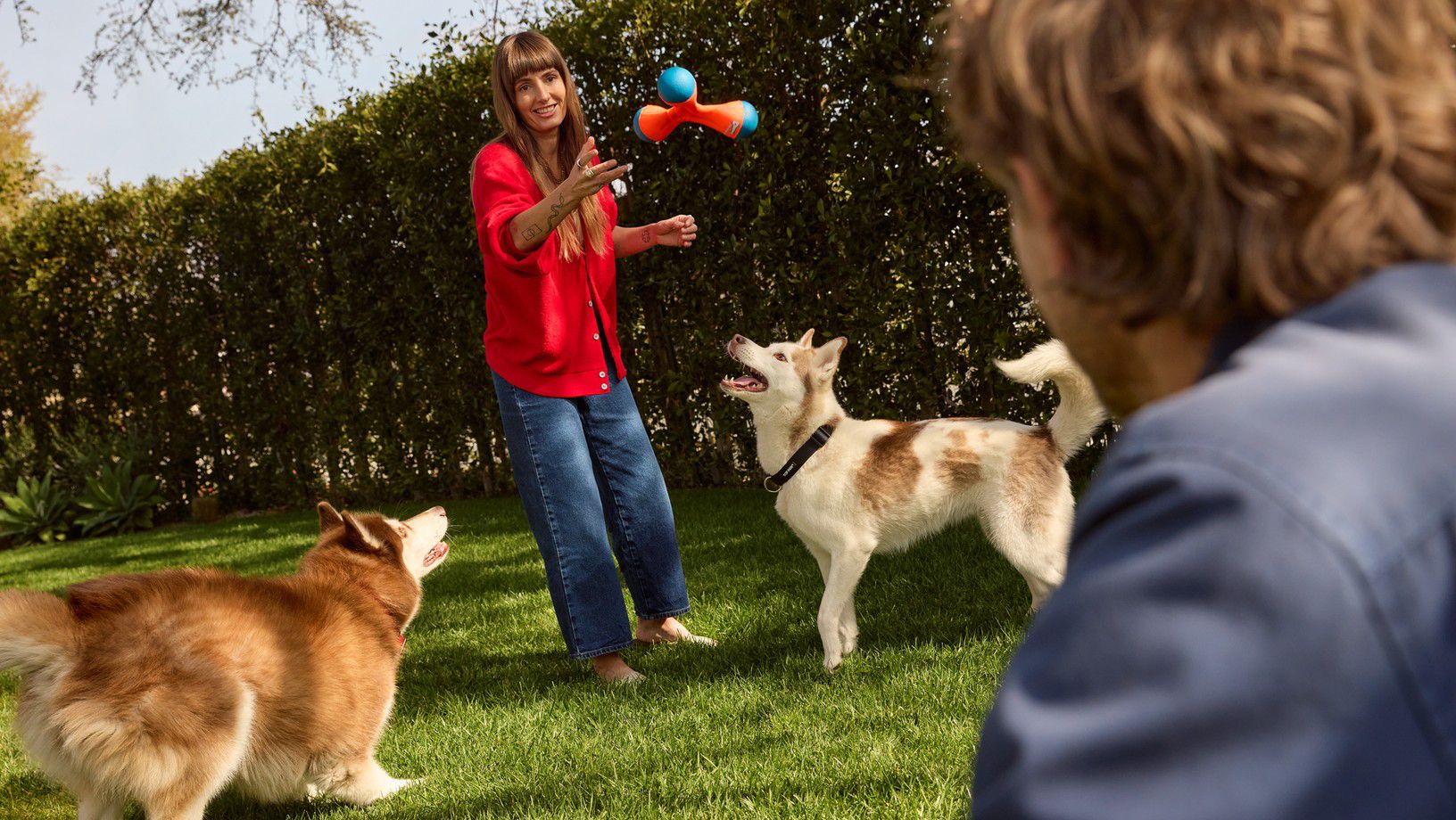 Dogs playing fetch outdoors with pet parents