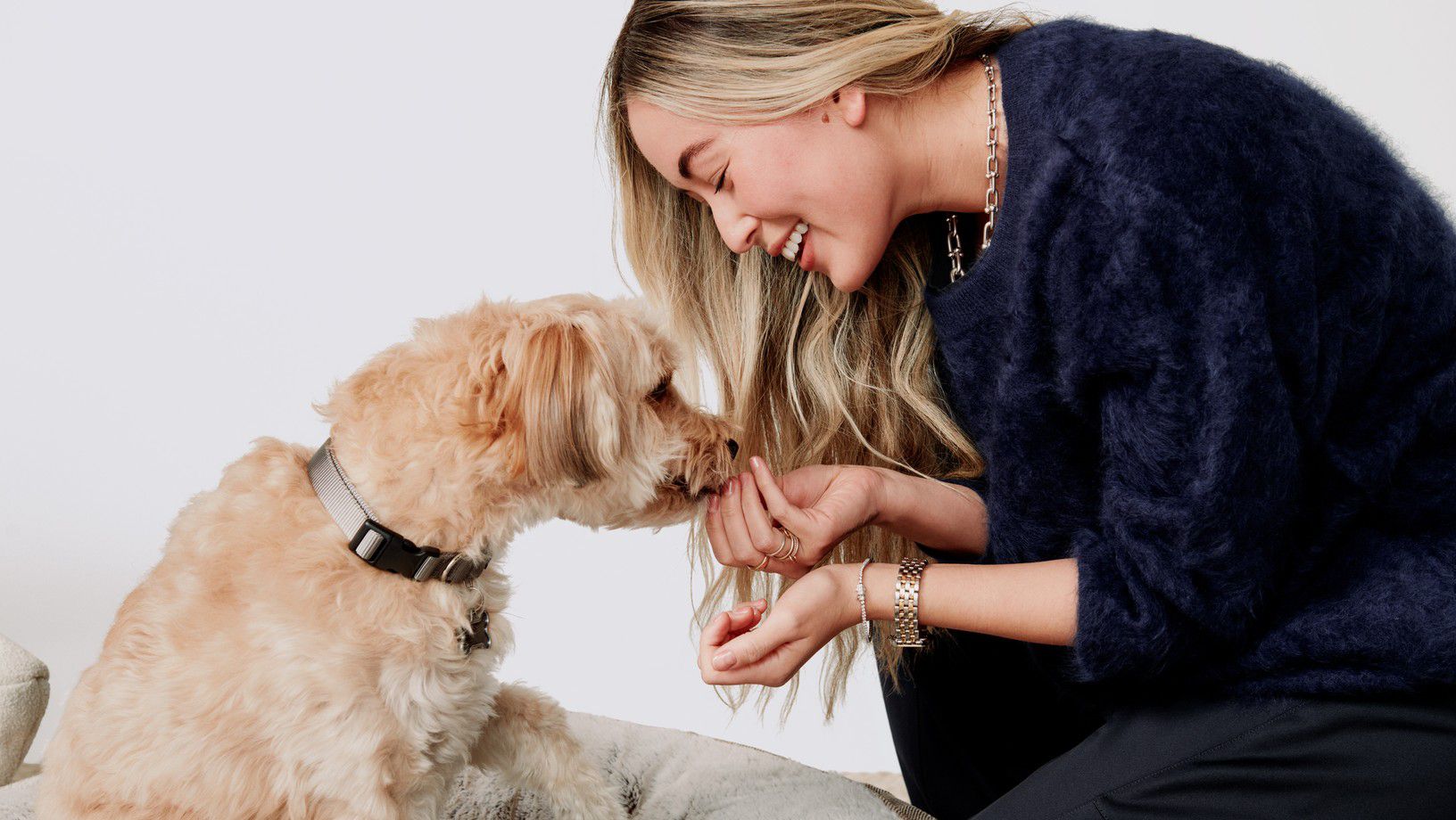 Woman giving small dog a treat during training session