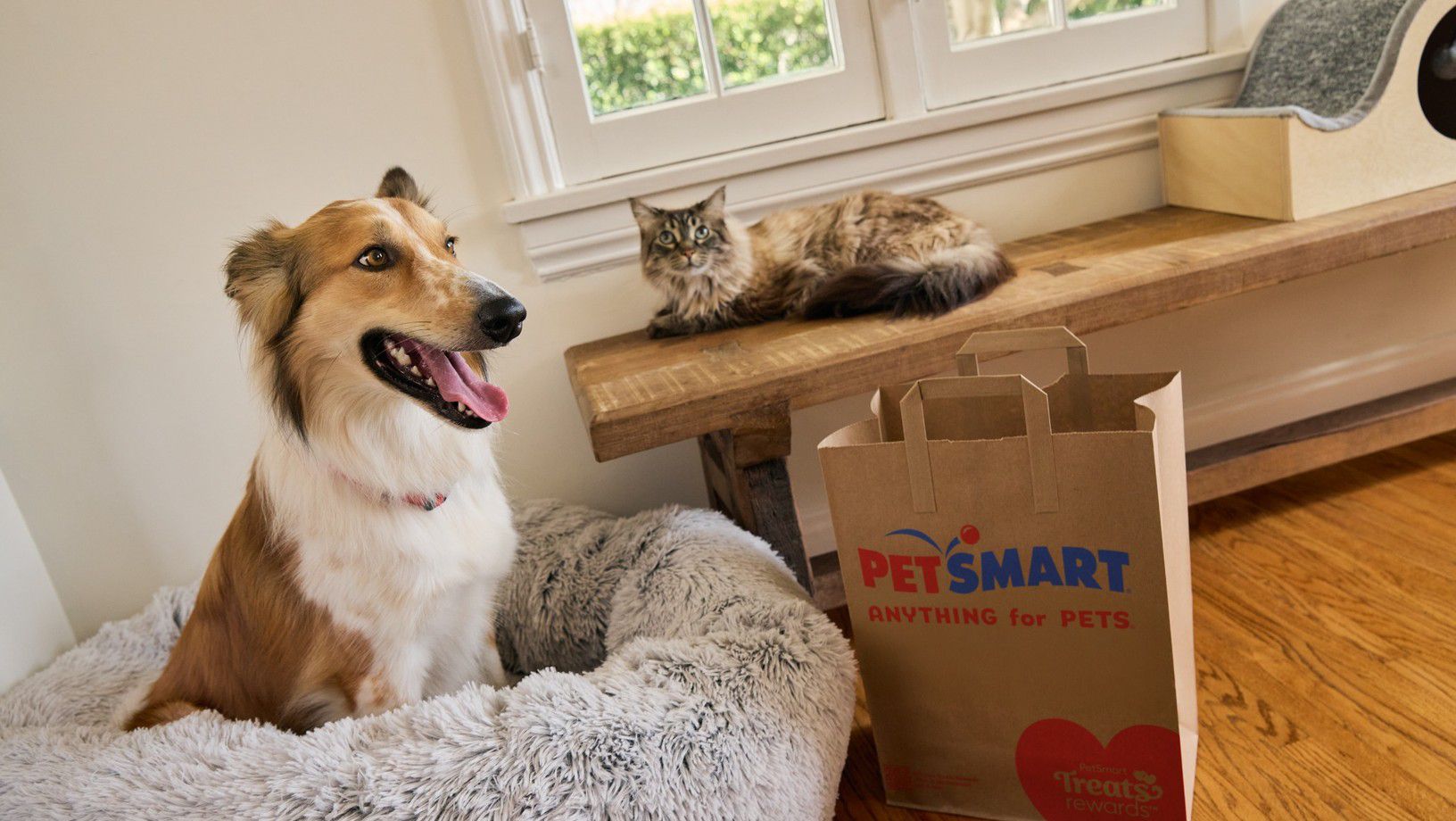 Dog resting on pet bed and cat on bench beside PetSmart shopping bag