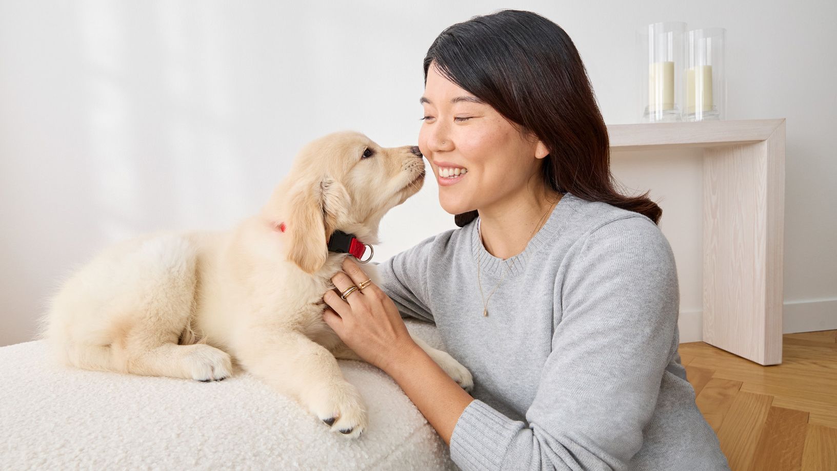 Yellow lab puppy interacting with owner indoors