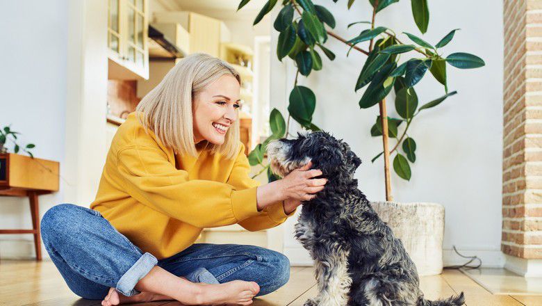 Woman placing a small dog into a pet stroller