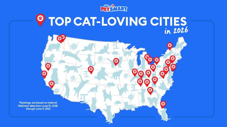 top 25 cat cities