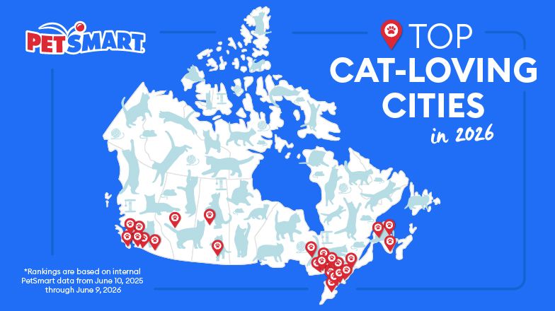top cat cities in canada, map of CA with blue background