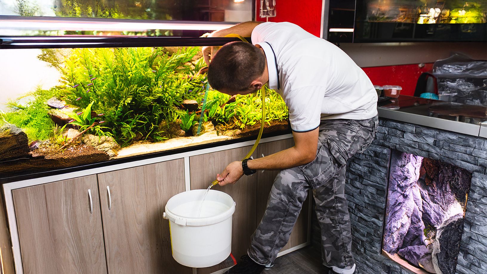 Aquarium Maintenance Hero Image
