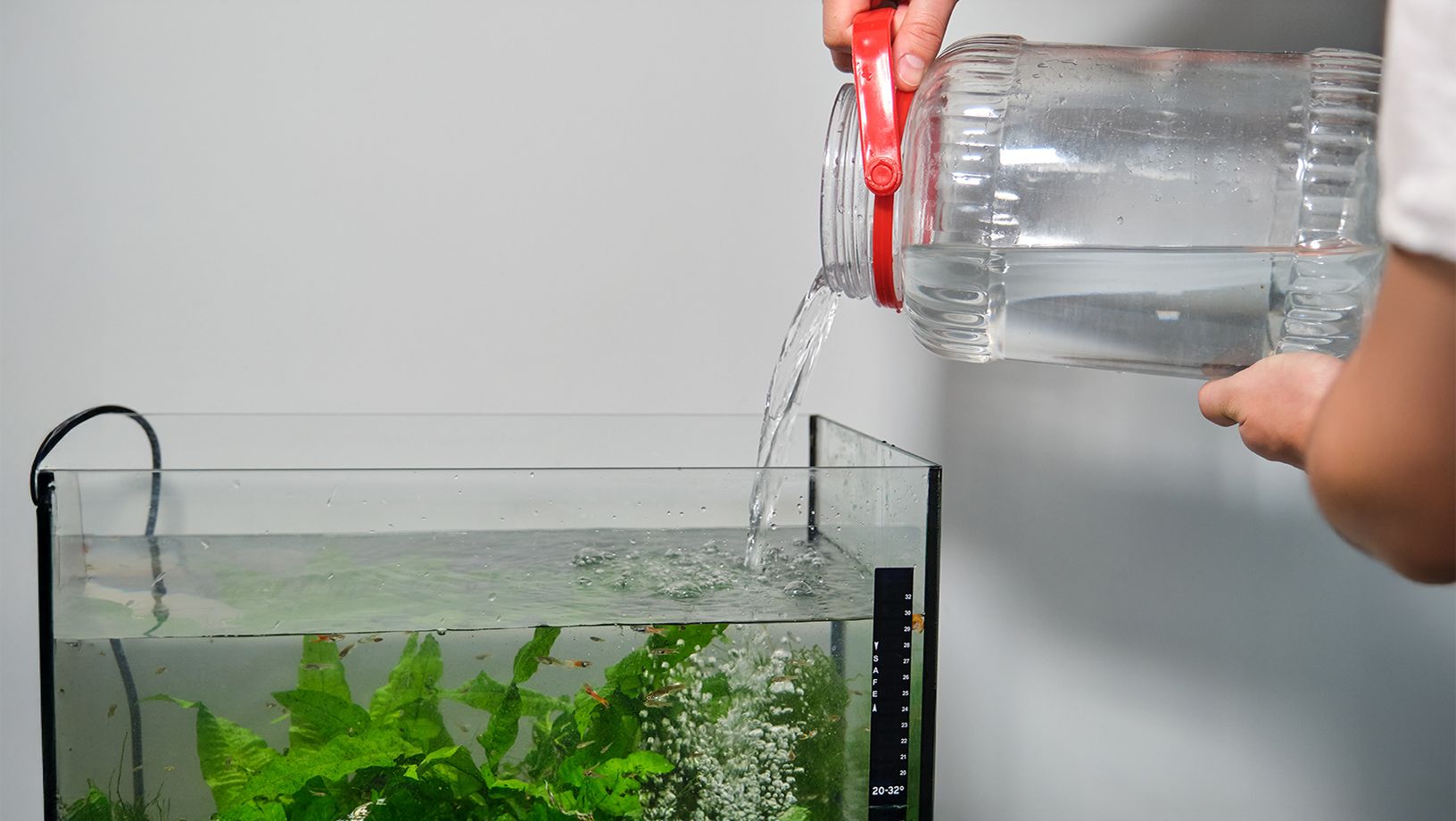 Aquarium Water Quality Hero Image