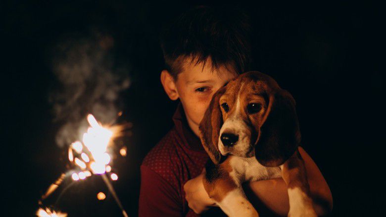 Child holding a beagle puppy outdoors at night beside a lit sparkler.