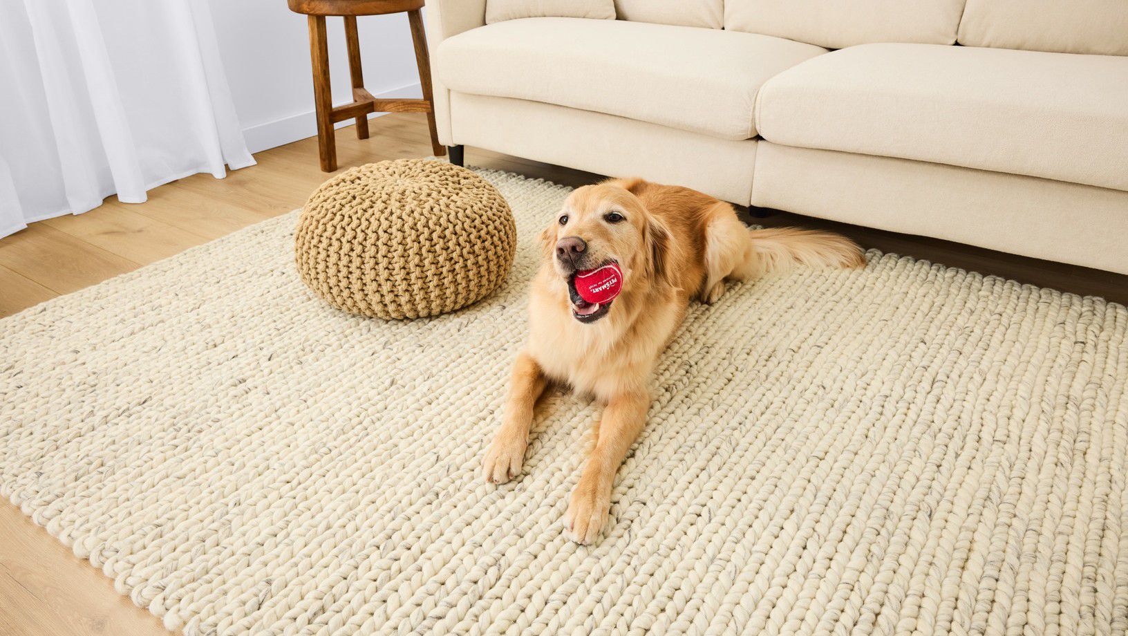 Golden retriever playing with a red ball on a living room rug indoors