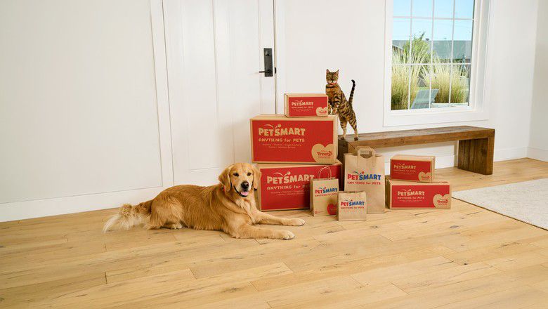 Golden retriever and tabby cat sitting beside stacked PetSmart boxes and bags in home entryway.