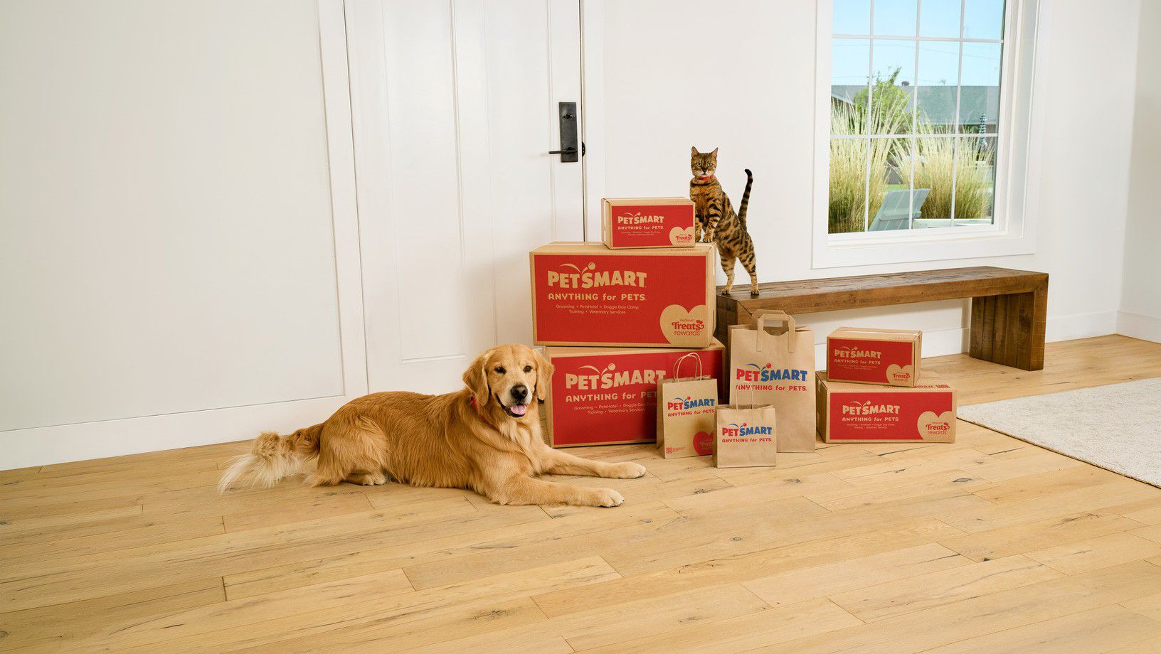 Golden retriever and tabby cat sitting beside stacked PetSmart boxes and bags in home entryway.