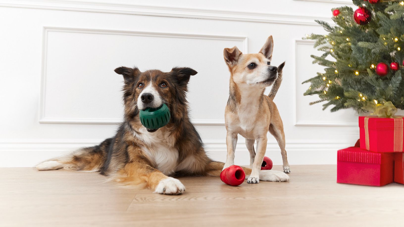 Guide Holiday Gifts Dogs Hero Image