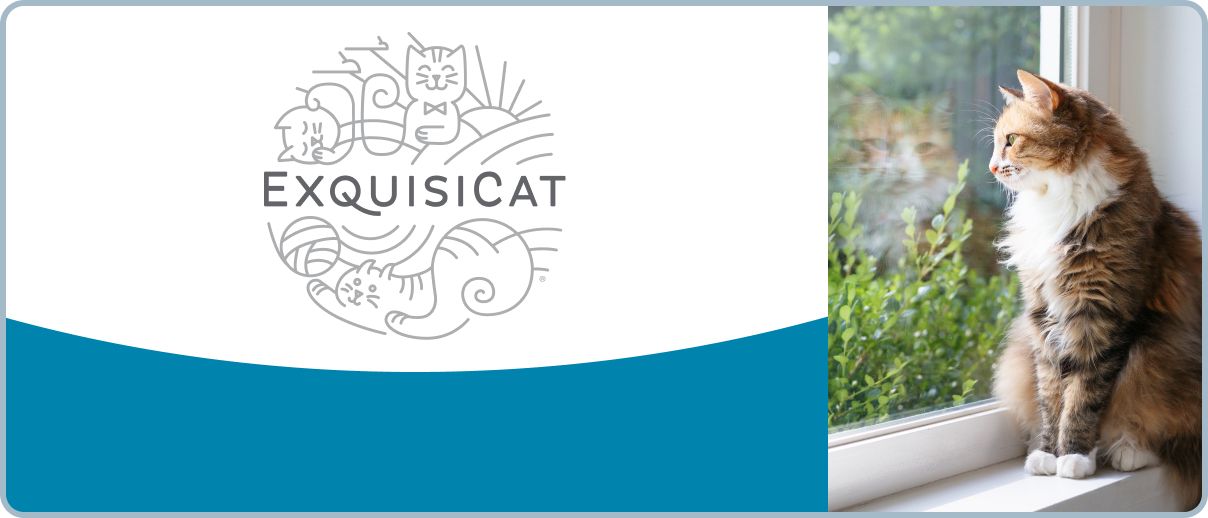 Cat looking out of a window with the Exquisicat logo