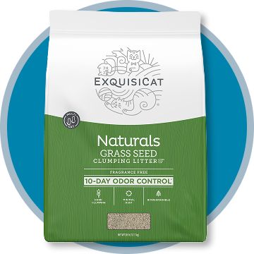 Exquisicat naturals grass seed clumping litter bag with a blue background