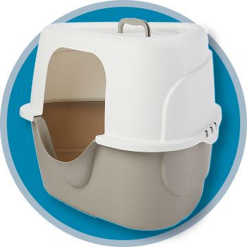 Corner litter box with blue background