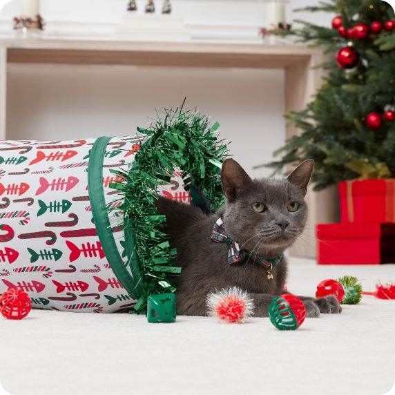 Cat in holiday-themed red & green tunnel toy