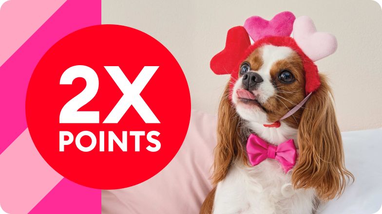 "2X points" text in a red circle, pink striped background & a dog wearing a heart headpiece & pink bow tie