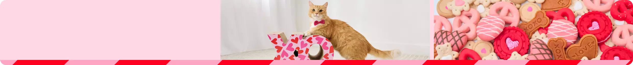 A ginger cat lounging with heart-themed decor & pink Valentine treats on a white background