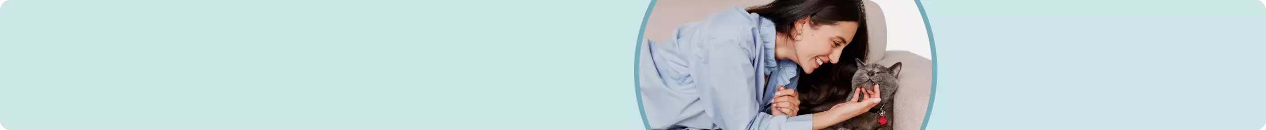 Woman scratching under gray kitty's chin