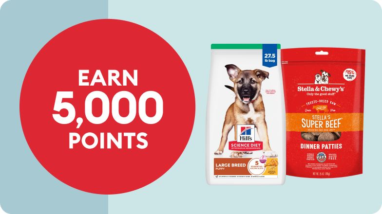 Two large bags of dog food: Hill's Science Diet Large Breed puppy and Stella & Chewy's Super Beef