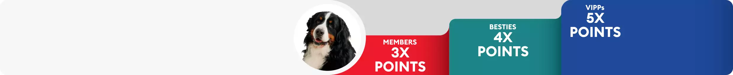Dog close up with Treats Rewards tiers: Members 3X points, Besties 4X points & VIPPs 5X points