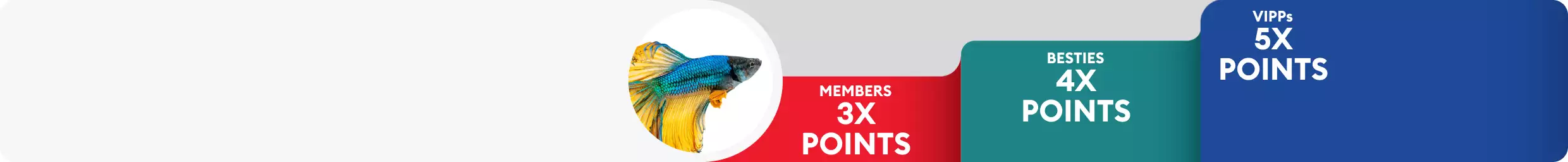 Fish close up with Treats Rewards tiers: Members 3X points, Besties 4X points & VIPPs 5X points