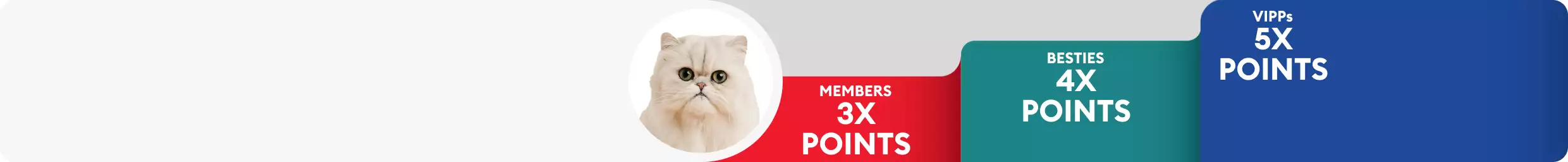 Cat close up with Treats Rewards tiers: Members 3X points, Besties 4X points & VIPPs 5X points