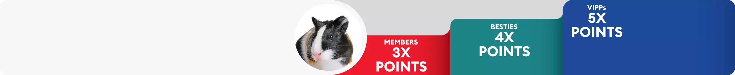 Small pet close up with Treats Rewards tiers: Members 3X points, Besties 4X points & VIPPs 5X points