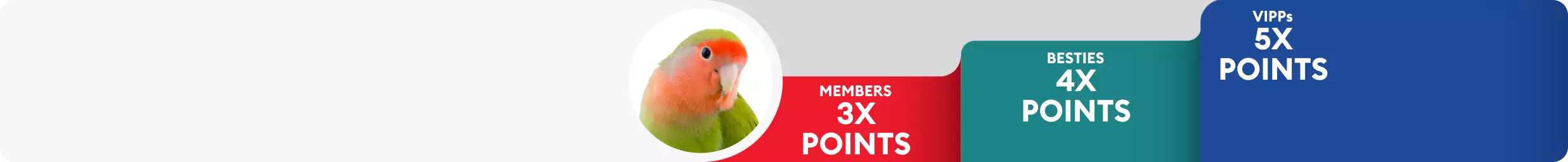 Bird close up with Treats Rewards tiers: Members 3X points, Besties 4X points & VIPPs 5X points