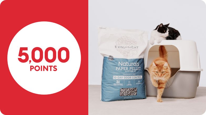 Badge with 5000 points and cats, a litter box, and a bad of litter