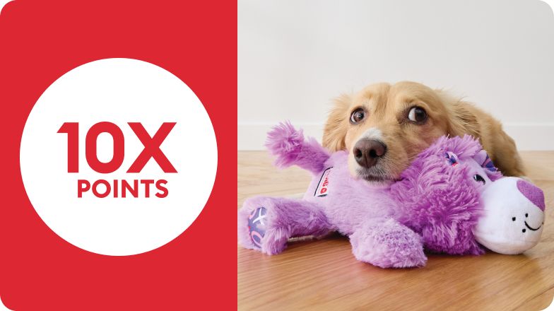 Badge with 10x points and a dog chewing on a purple stuffed toy